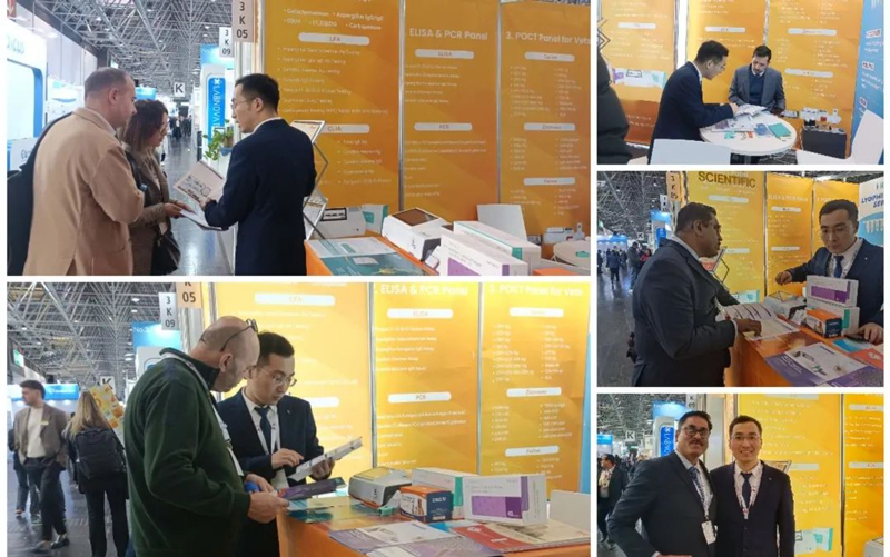 In MEDICA 2024, Dynamiker Ended Perfectly And The Future Is Promising!