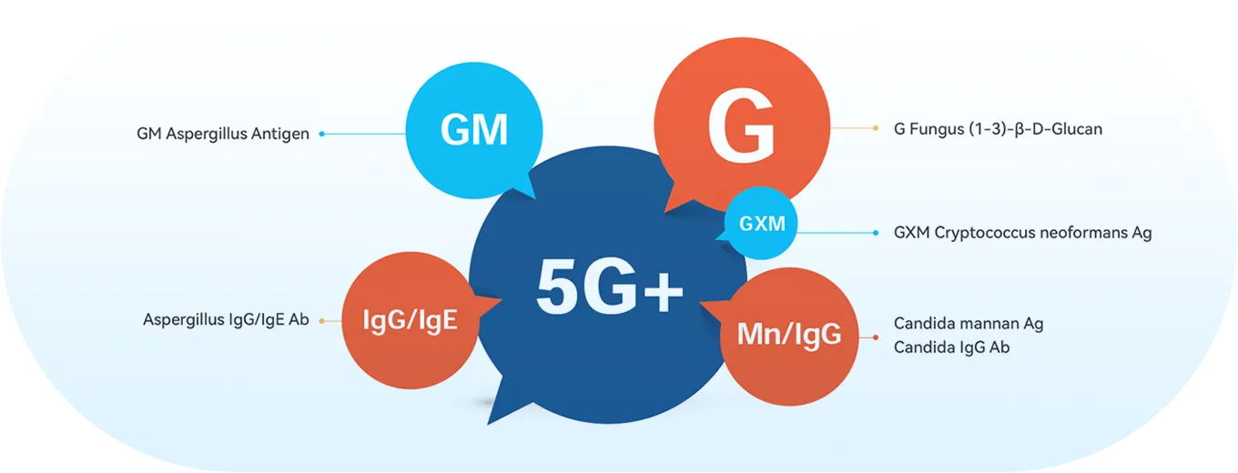 ''5G+'' Panel Testing Solution