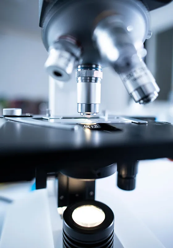 Industrial Endotoxins: A Comprehensive Analysis from Risk Awareness to Compliance Management