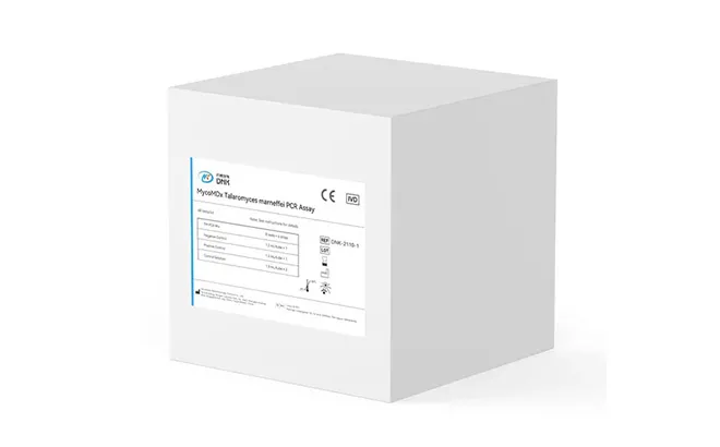 Pneumocystis Jiroveci