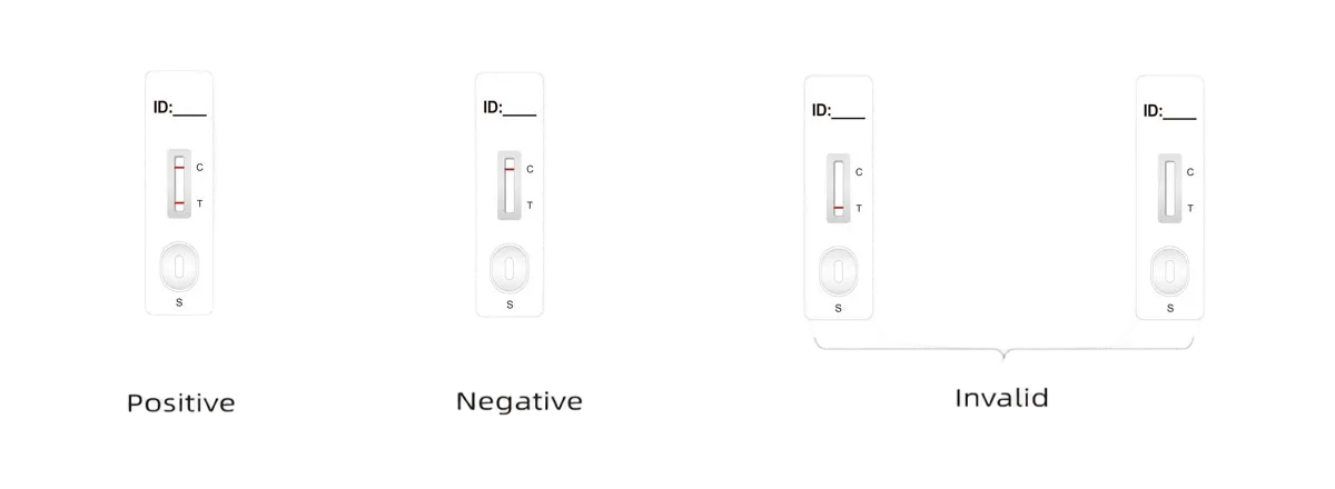 helicobacter pylori antigen test kit lfa material