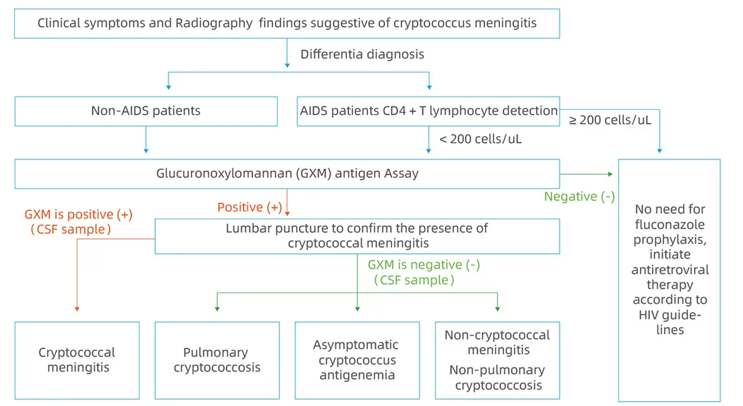 Cryptococcus Ag