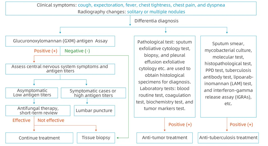 Pulmonary Cryptococcosis