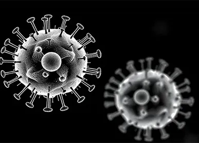 How to Use COVID-19 + Influenza A/B + RSV (Respiratory Syncytial Virus) Combo Rapid Test Kit?