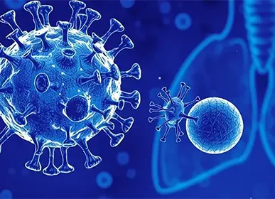 Canine Distemper Virus (CDV) Antigen Test Card – A Comprehensive Overview