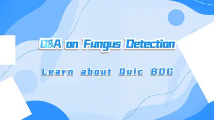 Q&A on Fungus Detection---Learn about Quic BDG